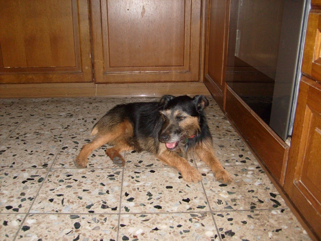 Meilo 2.JPG