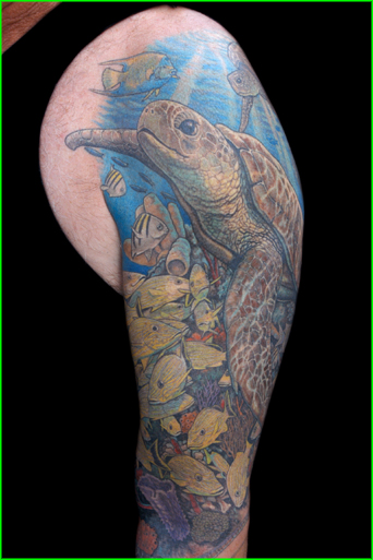 deano_cook_LUTHER_COX_TURTLE_best.jpg