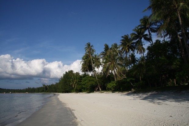 bintan.jpg