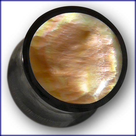 Buffalo Horn with Mabe Shell.jpg