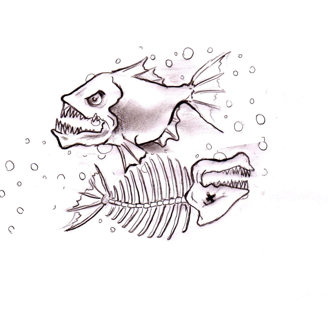 piranhasi.jpg