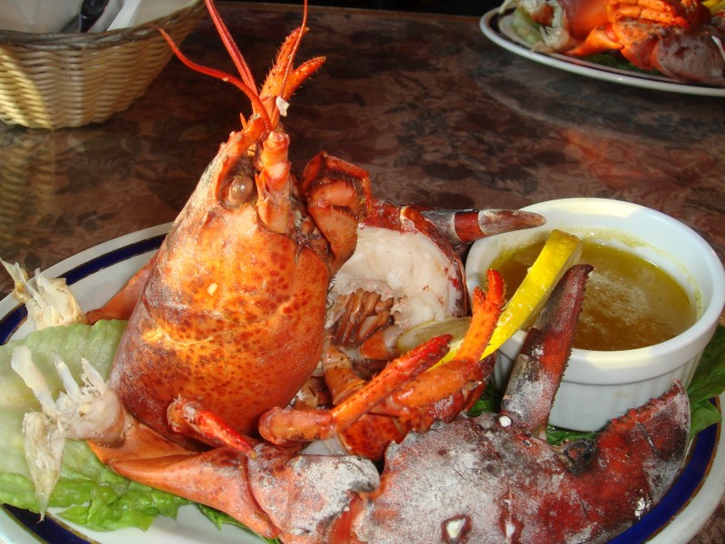 lobster.jpg