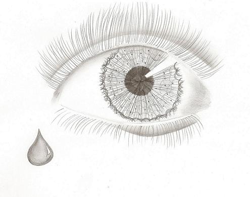 2.1 Auge.JPG