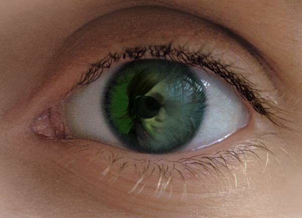 PhotoFunia_auge.jpg