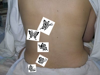 100700-08%20PDK%20Ruecken%20sm.jpg