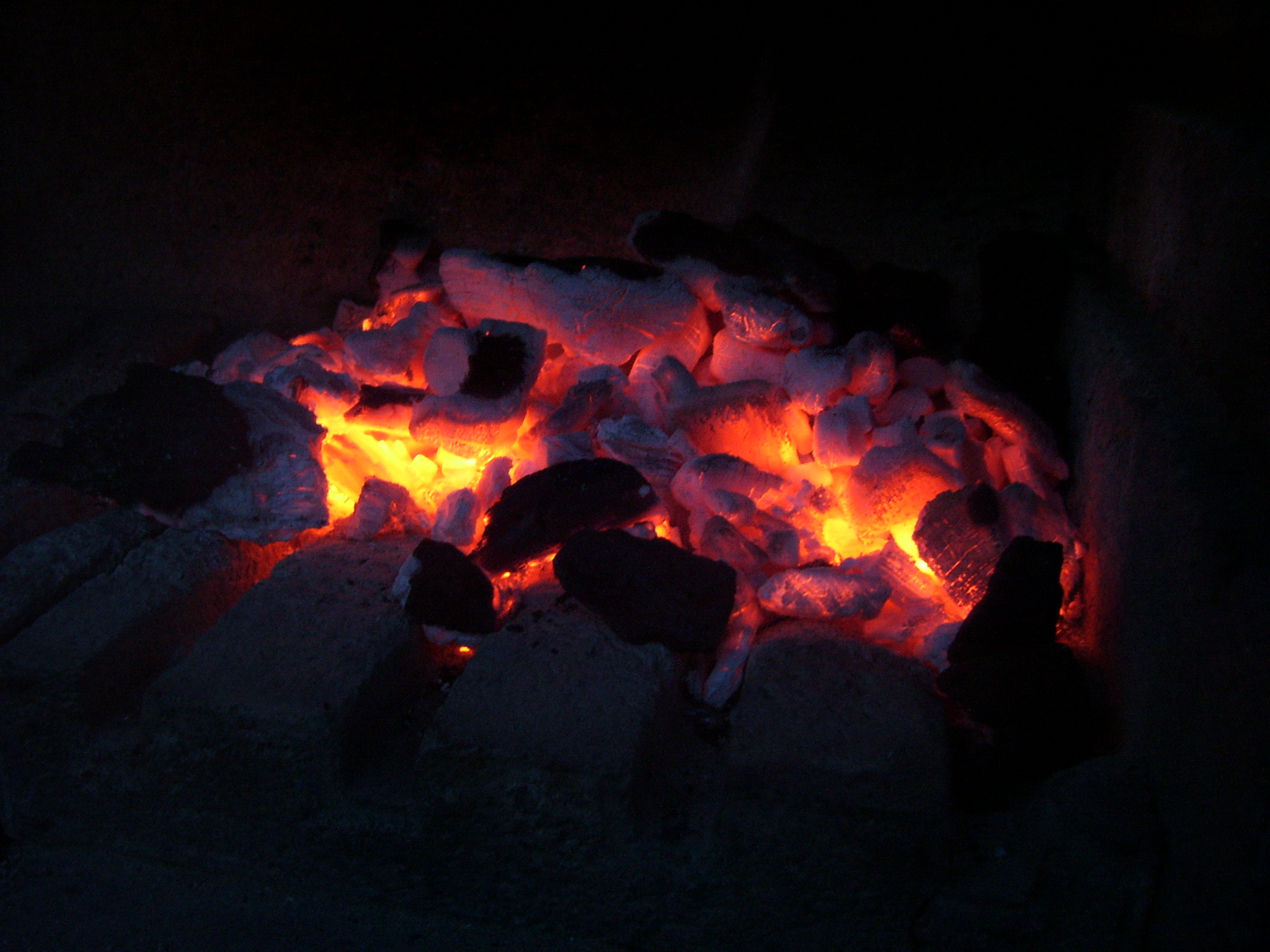 100_2233.JPG