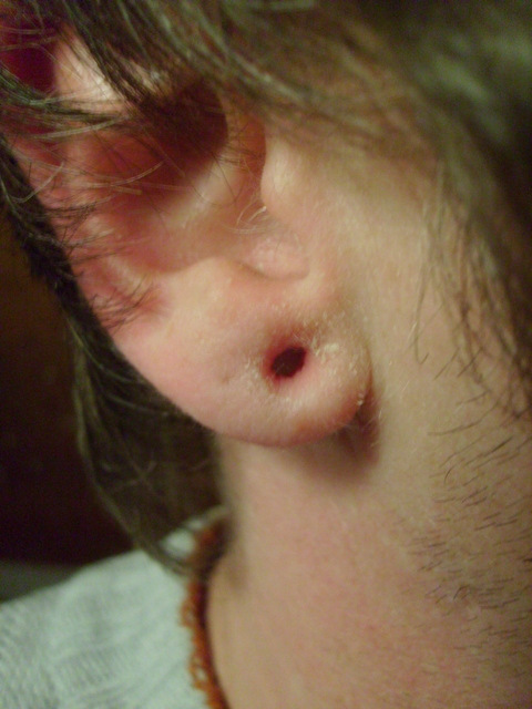 6 mm ohne Plug.JPG
