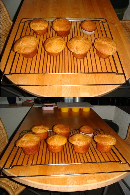 muffins.jpg