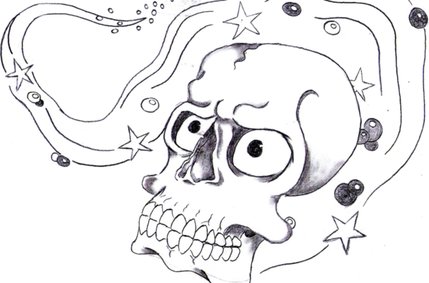 skull apel.jpg