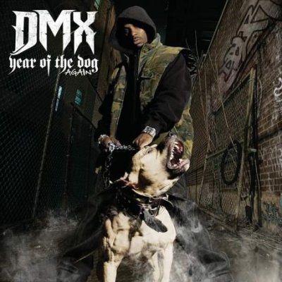 DMX.jpg