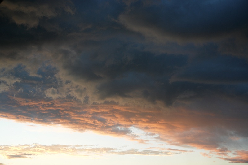 Dsc06175_1.jpg
