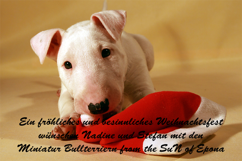 Weihnacht.jpg