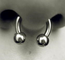 Septum.jpg