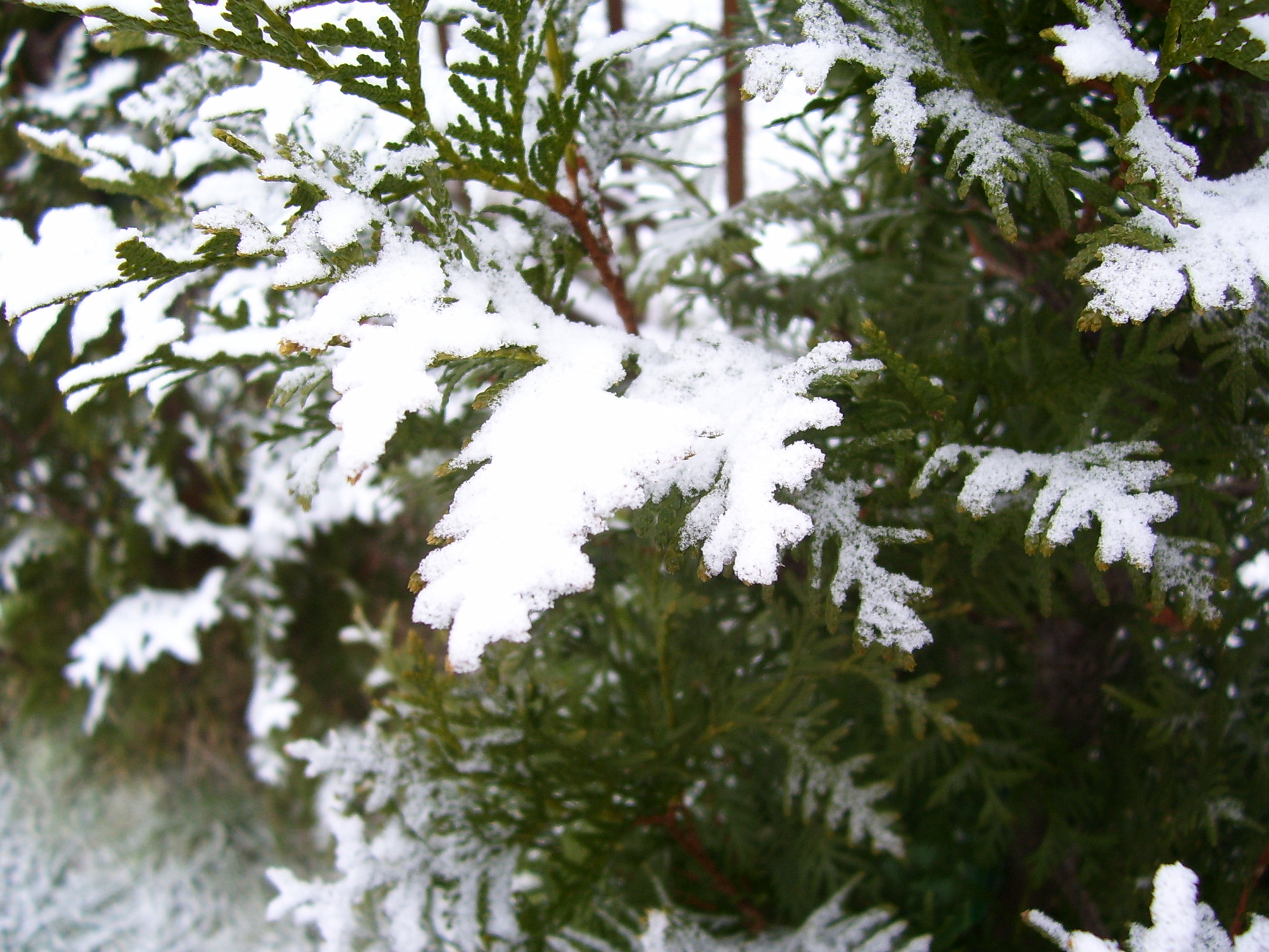 100_2561.JPG