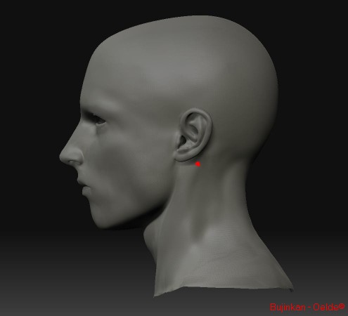 headNicholsStandnoon07707Profile.jpg
