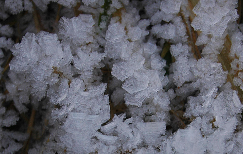 iced_.jpg