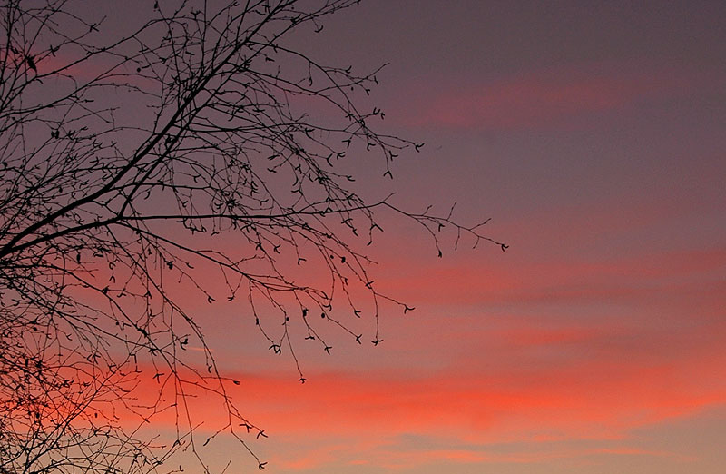heaven_pink.jpg