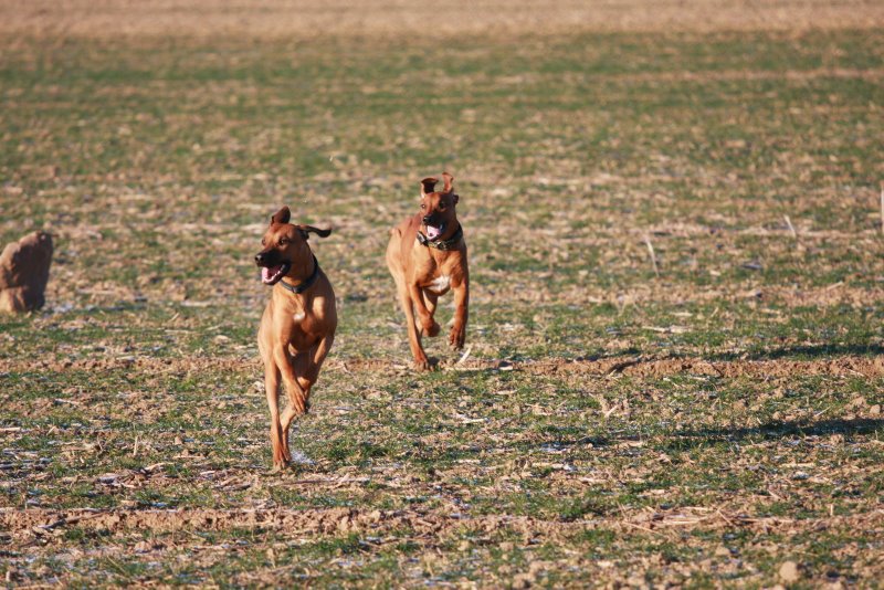 Nia 03.01.2009 15-52-21.jpg