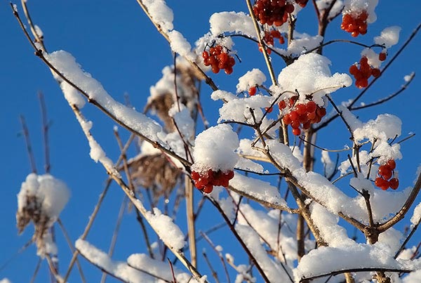 schnee_sonne5.jpg