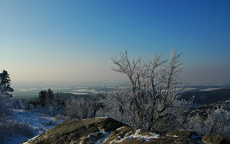 feldberg3.jpg