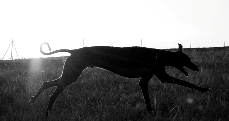 DSC_5410ddd.jpg