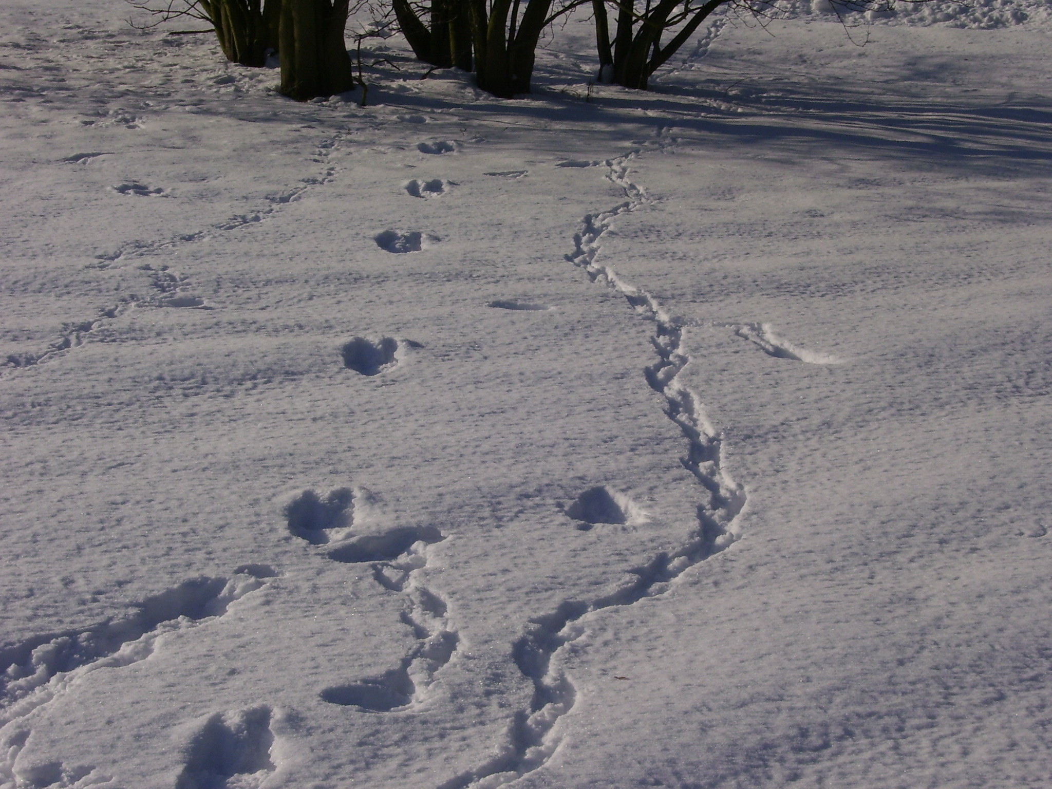 100_2651.JPG