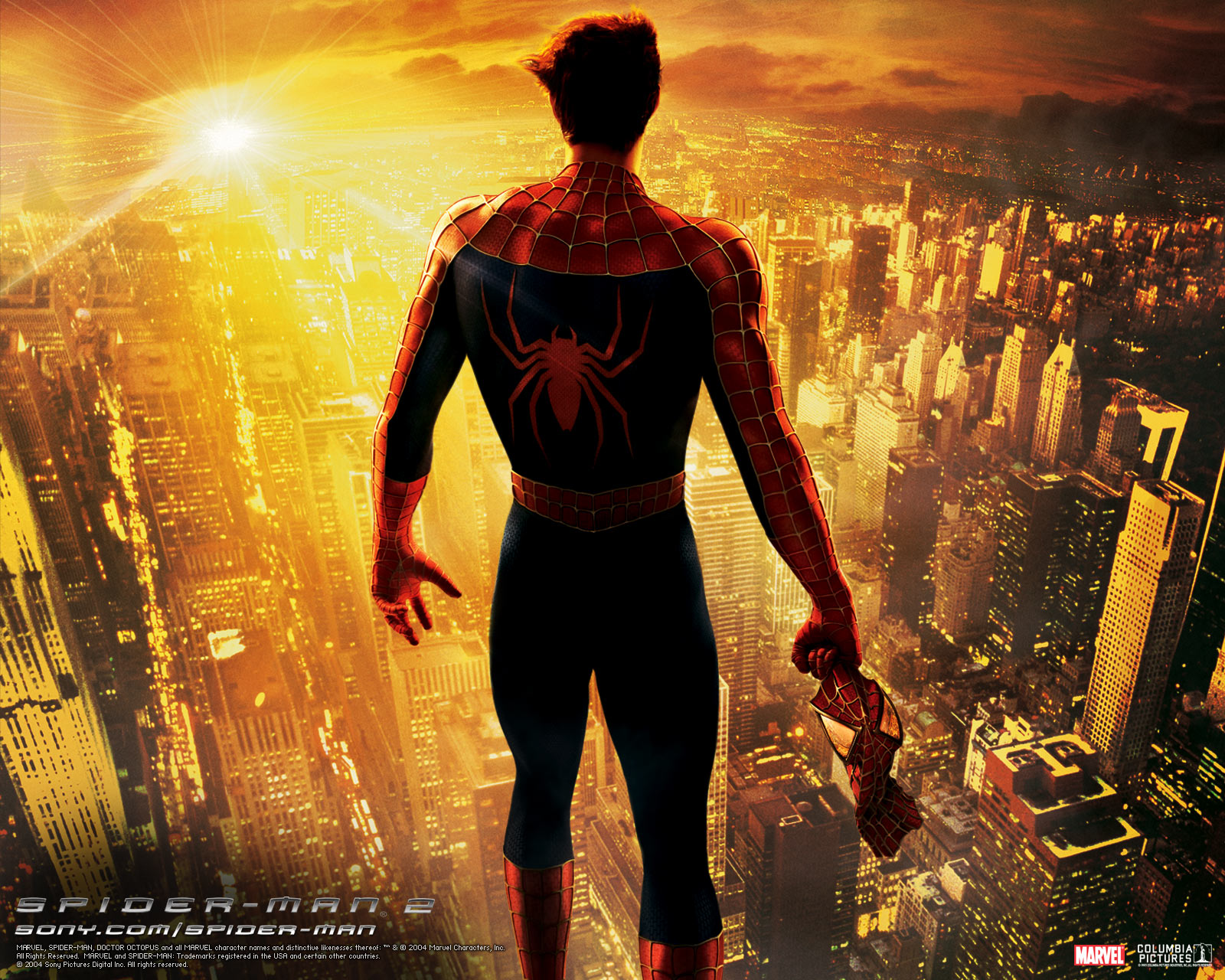 spiderman_choice.jpg