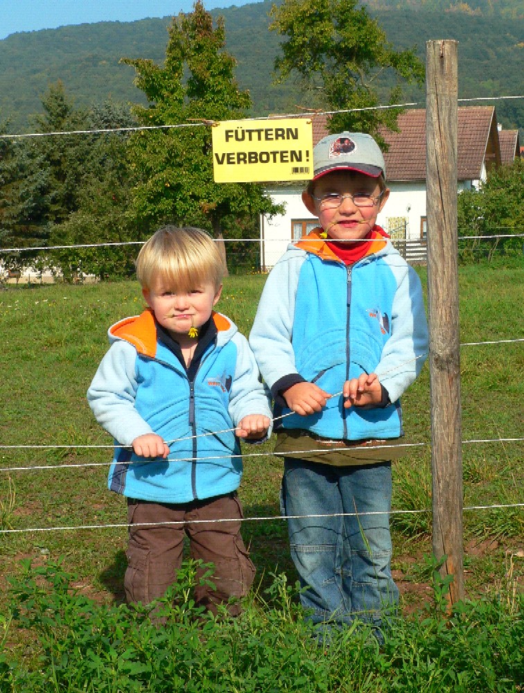 FÃƒÂ¼ttern verboten.jpg