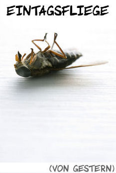 Eintagsfliege.jpg-2.jpg