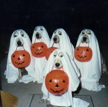 trick or tread k.jpg