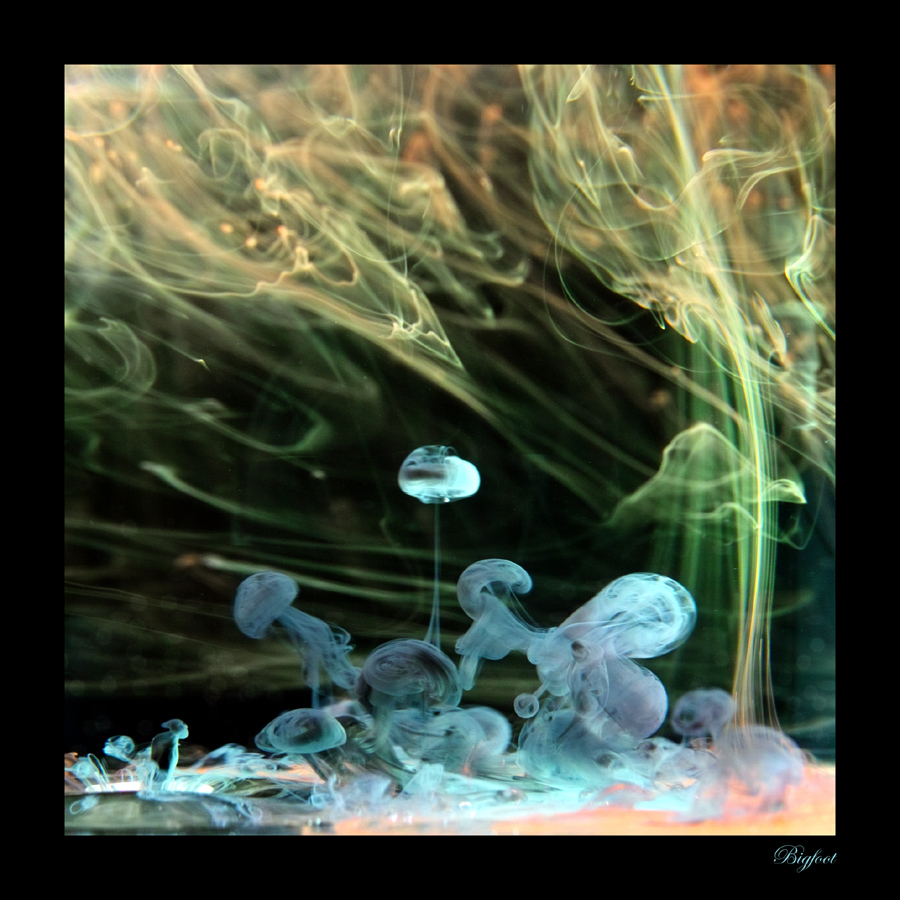 zauberwelt05-kl.jpg