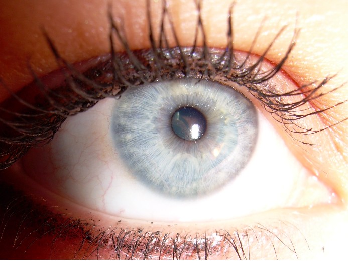 Auge 1.jpg