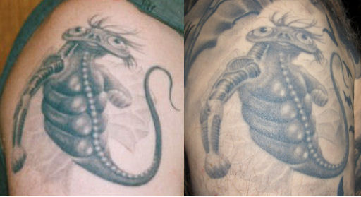 kleiner drache - 1997 und 2009.jpg