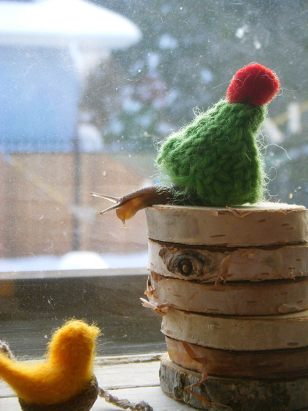 snail_cozy.jpg