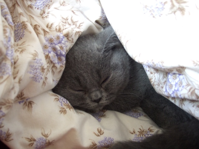 DSCF0061.JPG