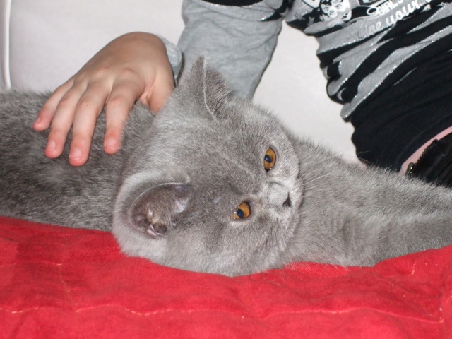 DSCF0042.JPG
