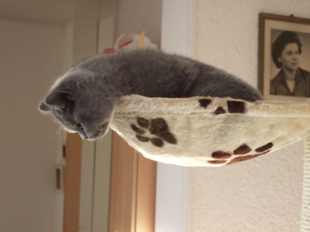 DSCF0016.JPG