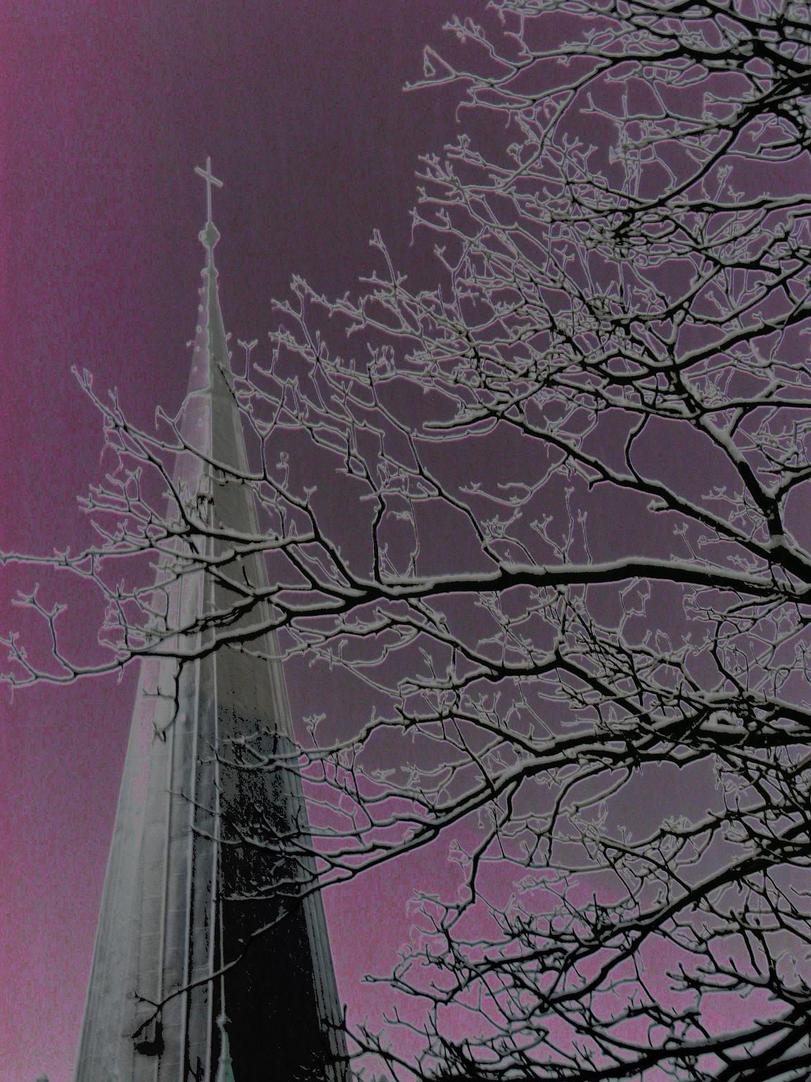 schee08 005.jpg555 - Kopie.jpg