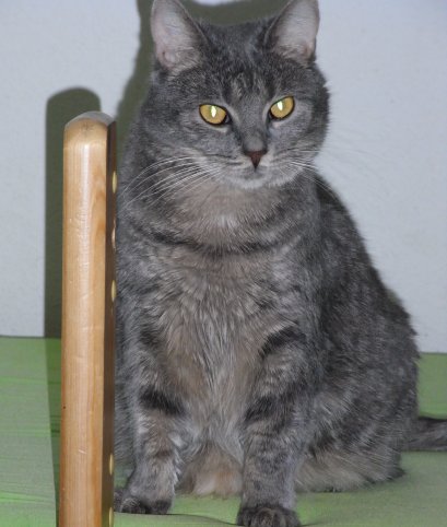 Bild 021.jpg
