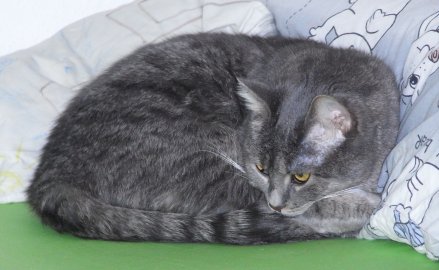 Bild 022.jpg
