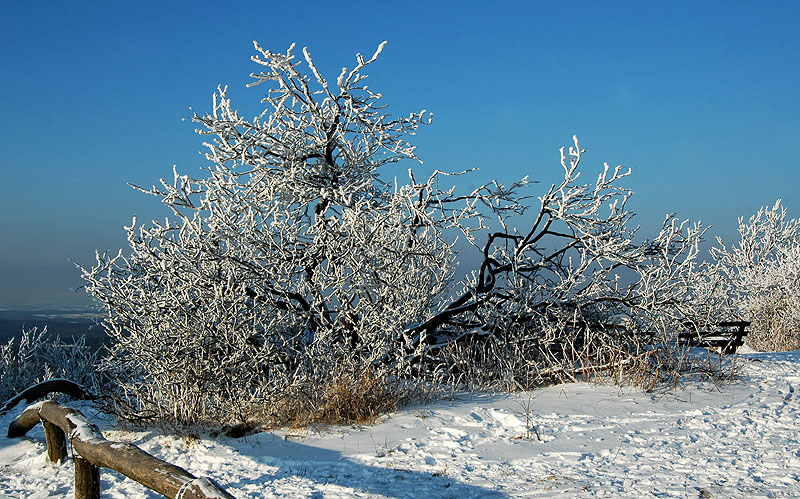 feldberg_Landschaft.jpg