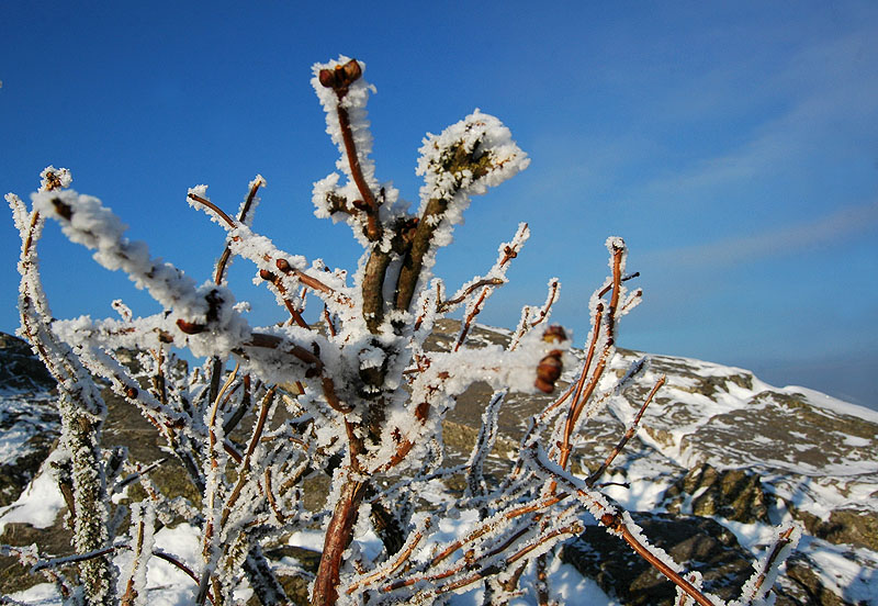 feldberg_ast.jpg