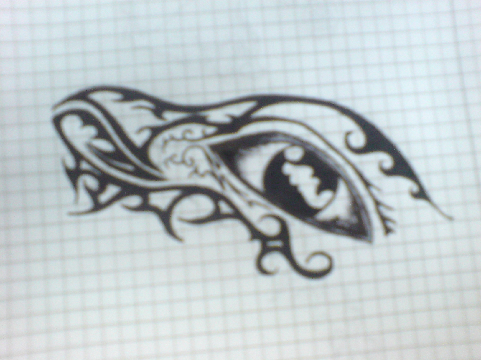 DSC00714.JPG