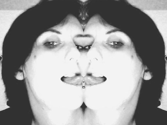 Snapshot_20090123_17.jpg