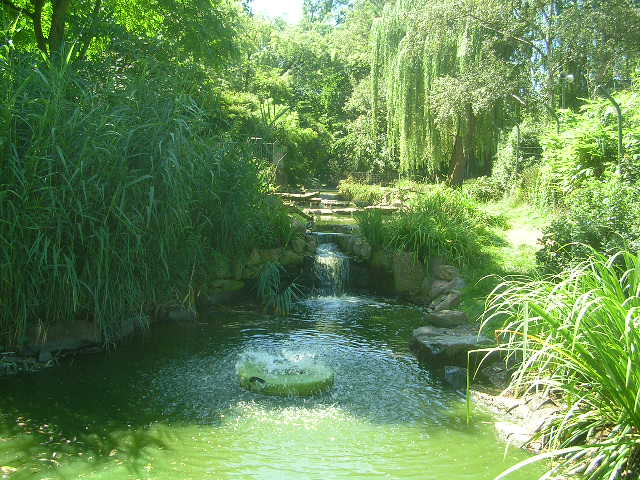DSCN4340.JPG