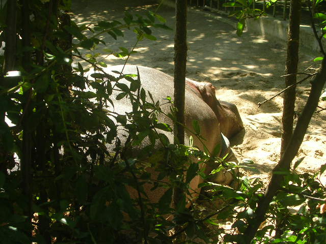 DSCN4326.JPG