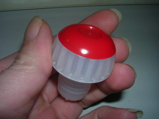 DSCN4625.JPG