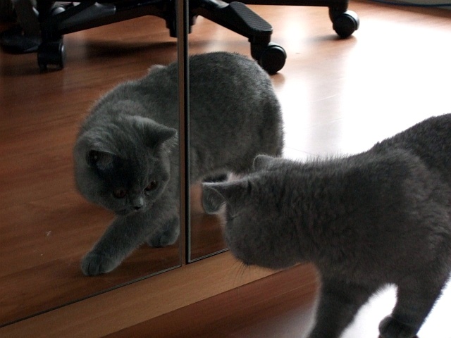 DSCF0049.JPG