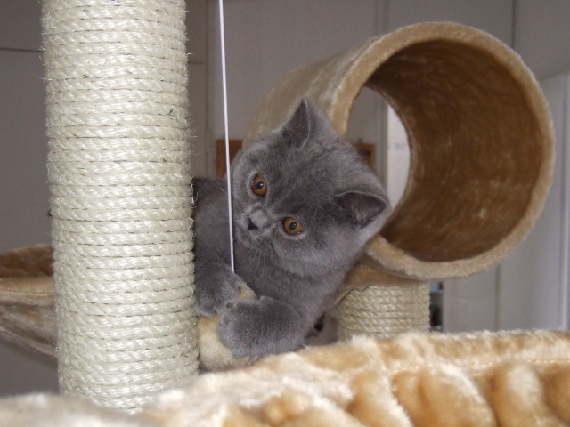 DSCF0038.JPG