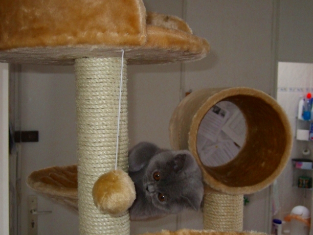 DSCF0029.JPG